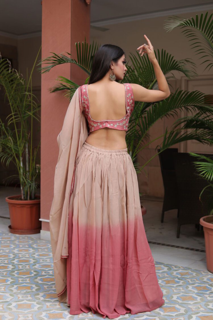 light brown lehenga with embroidered blouse